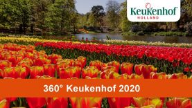 360° Keukenhof 2020🌷 – Keukenhof Virtually Open