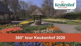 360° tour Keukenhof 2020🌷 – Keukenhof Virtually Open