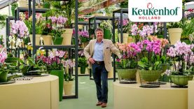 Cor Middelkoop about the orchids in the Beatrix Pavillion – Keukenhof Virtually Open