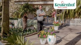 Gardener Daan shows you Beach Garden, Mill forest and the fountain – Keukenhof Virtually Open🌷