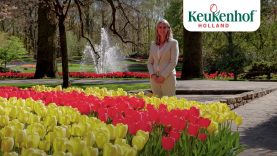 PR manager Marlies shows you the best photo spots – Keukenhof Virtually Open 🌷