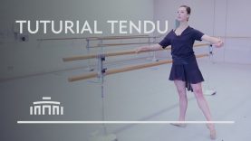 Tuturial 1 – Tendu