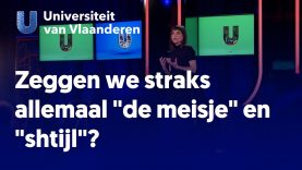 Zeggen we straks allemaal 'de meisje' en 'shtijl'?