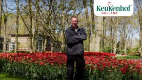 Head gardener Stefan takes you to the 'Blue River' – Keukenhof Virtually Open