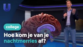 Hoe kom je van je nachtmerries af?