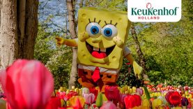 SpongeBob SquarePants in Keukenhof!