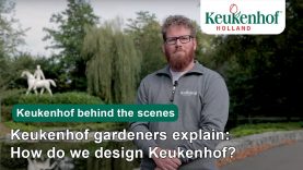 Keukenhof gardeners explain: How do we make sure the park blooms during the 8 weeks season?🌷