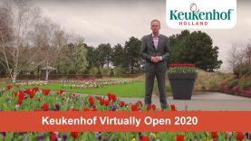 Keukenhof Rewind: year 2020. We hope to see you in 2021!🌷