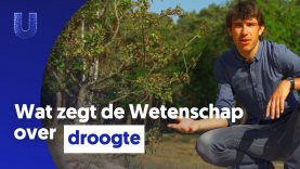 Nederland droogt uit: hoe kan dat?