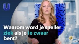 Waarom word je sneller ziek als je te zwaar bent?