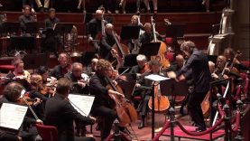 Dvořáks Celloconcert door Andreas Brantelid & Radio Filharmonisch Orkest – ZomerArchief