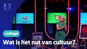 Wat is het nut van cultuur?