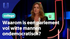 Waarom is een parlement vol witte mannen ondemocratisch?