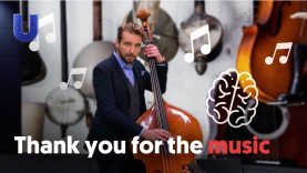 Why does the brain need music?