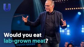 Would you eat lab-grown meat?