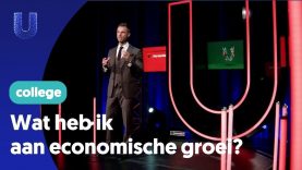 Wat heb ik aan economische groei?