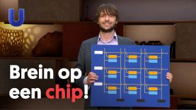 Hoe print je een brein op een computerchip?