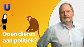 Doen dieren aan politiek?