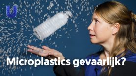 Hoe schadelijk is plastic voor onze gezondheid?