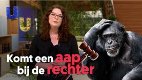 Moeten dieren grondrechten krijgen?