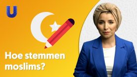 Op wie stemmen moslims?