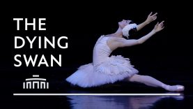 The Dying Swan (performance clip) – Dutch National Ballet