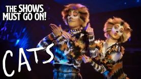 Mungojerrie and Rumpleteazer from CATS | Cats The Musical | The Shows Must Go On!