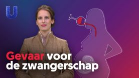 Waarom mag je niet drinken als je zwanger bent?