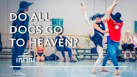 Behind the scenes Do All Dogs Go To Heaven? by Sedrig Verwoert | Dutch National Ballet