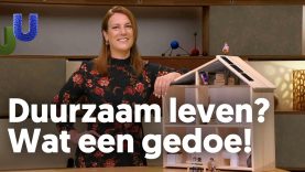 Waarom is het leven zoveel gedoe?