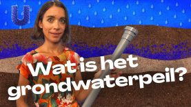 Hoe laag staat het grondwater? #WetenSNAP #grondwaterpeil