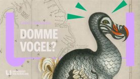 Hoe Nederlanders de dodo lieten uitsterven