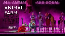 Helena Rasker about the opera Animal Farm [trailer] | Dutch National Opera