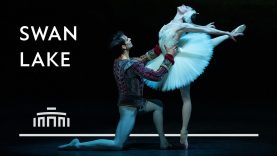 Trailer of the ballet of ballets: Swan Lake | Dutch National Ballet