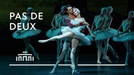 Ballet fragment Olga Smirnova and Constantine Allen [Swan Lake] | Dutch National Ballet