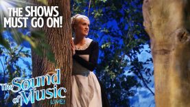 The Atmospheric ‘The Sound of Music’ | The Sound of Music