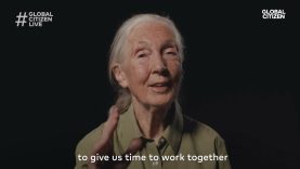 Jane Goodall Has a Message About the Planet ​| Global Citizen Live