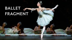 The Sleeping Beauty with Maia Makhateli and Jakob Feyferlik | Dutch National Ballet