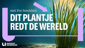 Dit saaie plantje gaat de wereld redden…