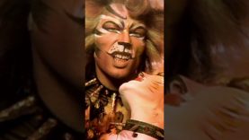 The Curious Cat (The Rum Tum Tugger) from CATS #shorts | Cats The Musical