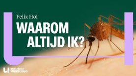 Waarom steken muggen de één wel en een ander niet? (Onderzocht op Lowlands!)