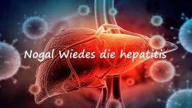 Nogal Wiedes die Hepatitis