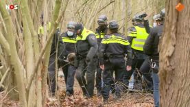 Politie haalt activisten uit bomen Born en voert ze af