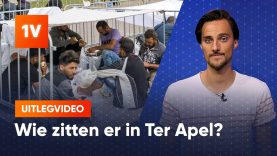 Waar de asielzoekers bij Ter Apel precies vandaan komen