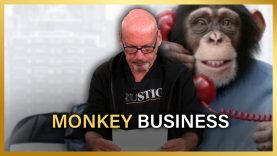 Monkey business – Ad Nuis column