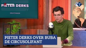 Pieter Derks over circusolifant Buba | NPO Radio 1