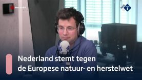 Pieter Derks 'Soms is ons verdienvermogen juist precies waar het probleem is begonnen' | NPO Radio 1