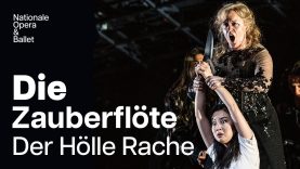 Rainelle Krause sings 'Der Hölle Rache' in Die Zauberflöte | Dutch National Opera