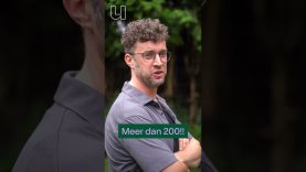 Welke beroepen willen kinderen later uitoefenen?