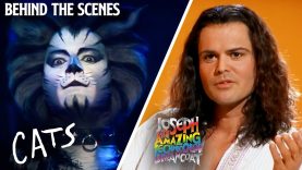 The Origins of Cats and Joseph and the Amazing Technicolor Dreamcoat!